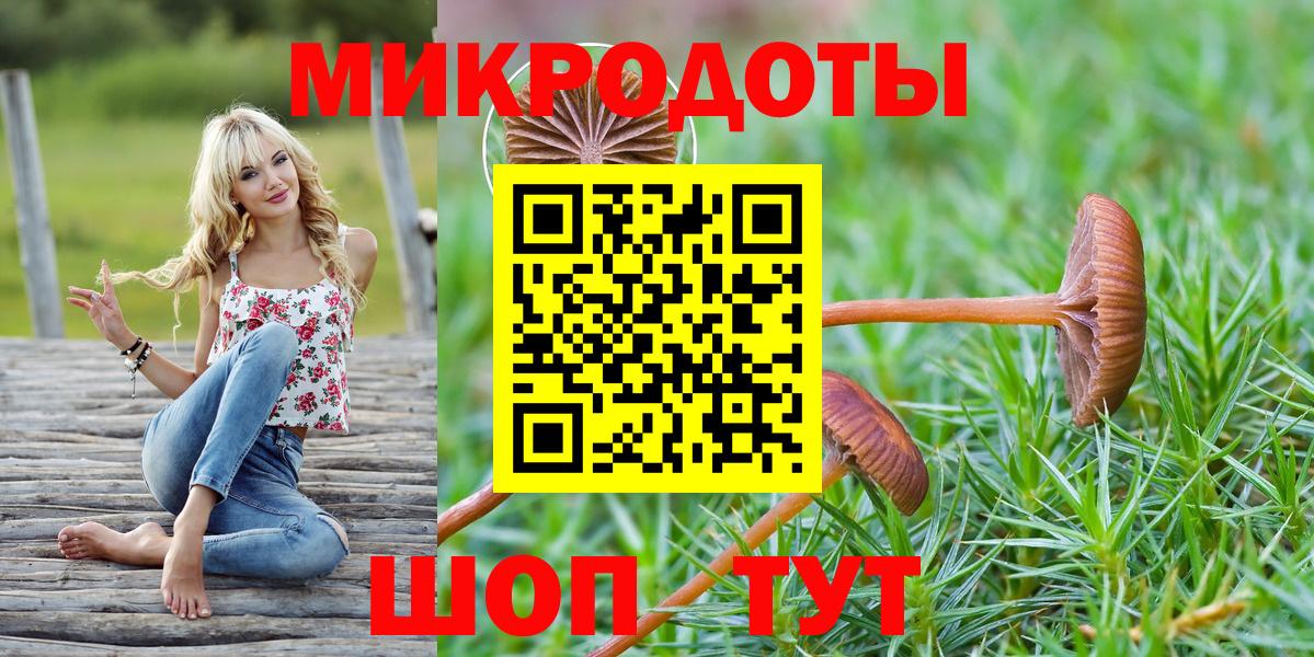 Псилоцибиновые грибы GOLDEN TEACHER Кинель