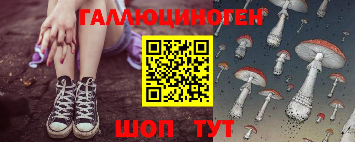 Кинель  где можно купить наркотик  Вход с VPN  Галлюциногенные грибы Cubensis 